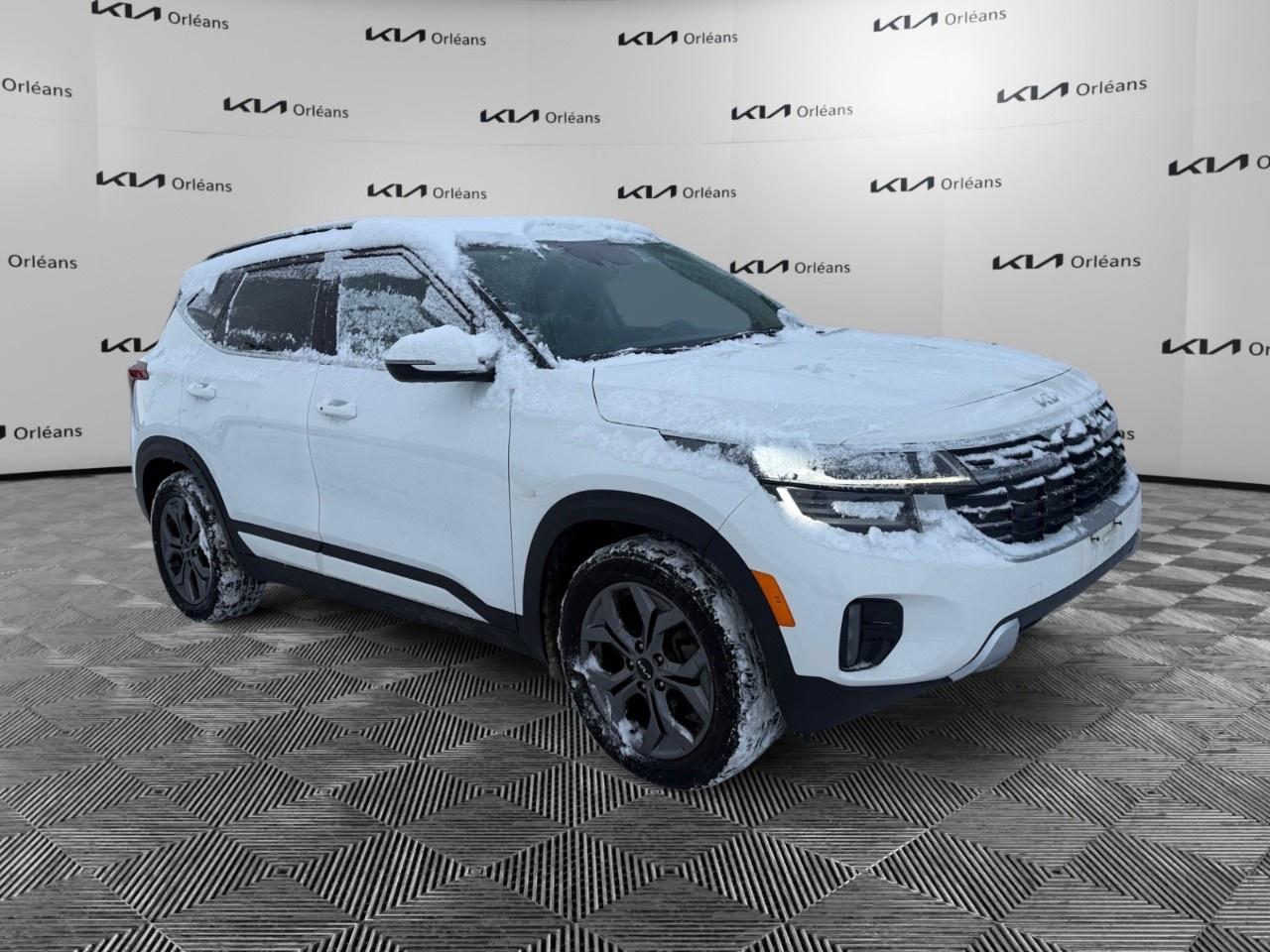 2024 Kia Seltos EX AWD Photo