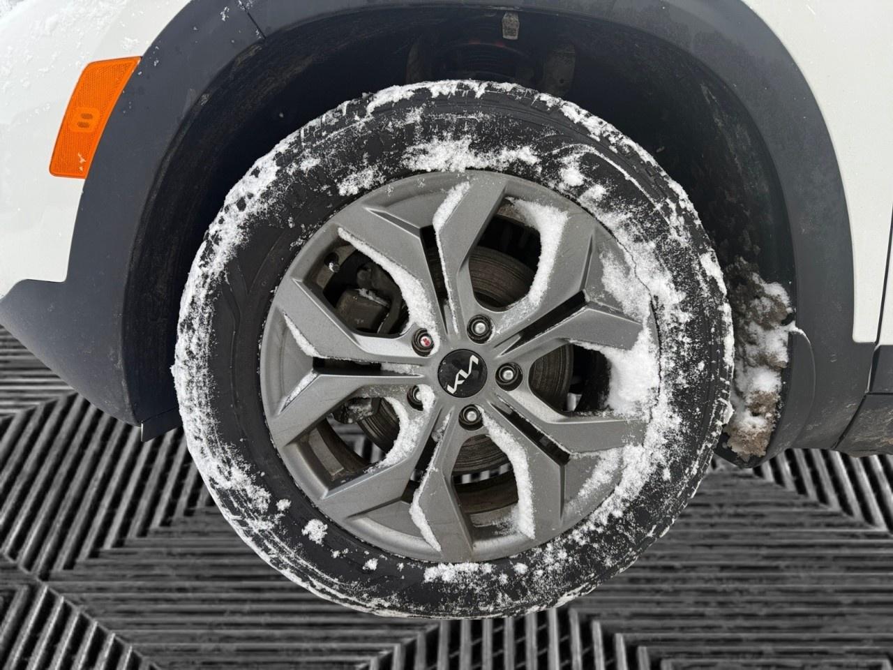 2024 Kia Seltos EX AWD Photo