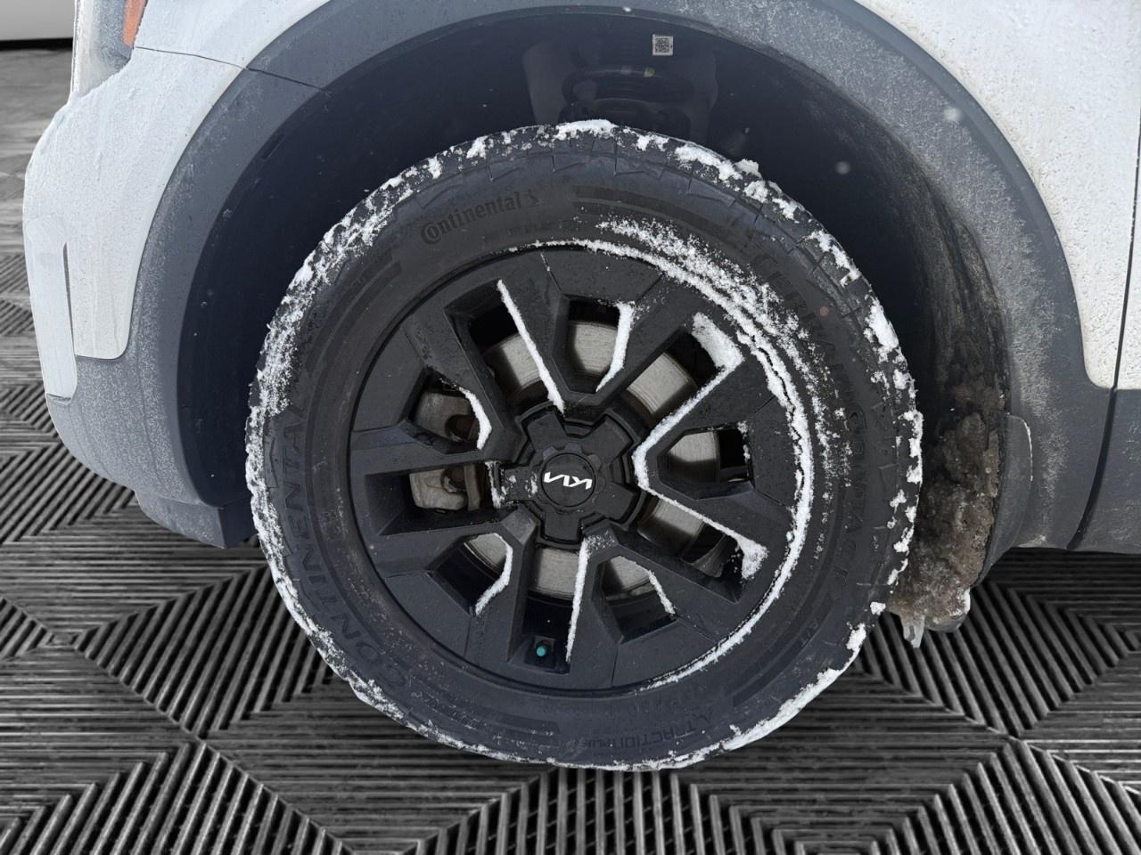 2023 Kia Telluride X-pro AWD Photo