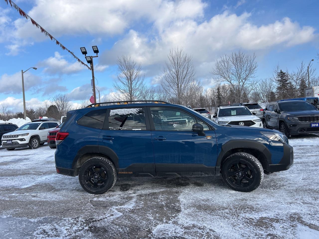 2024 Subaru Forester Wilderness w/Moonroof, Heated Seats, Pwr Tailgate Photo
