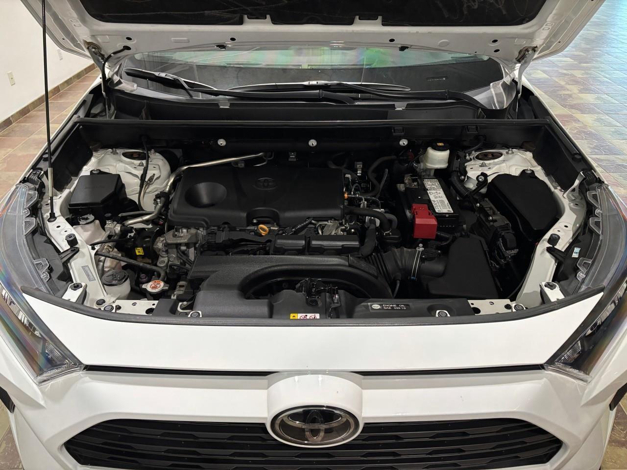 2020 Toyota RAV4 LE Photo