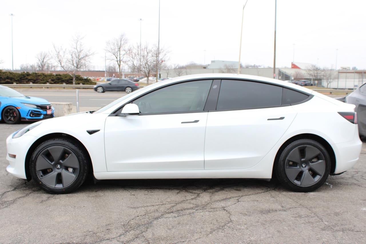 2023 Tesla Model 3 Standard Range Plus White Interior Photo3