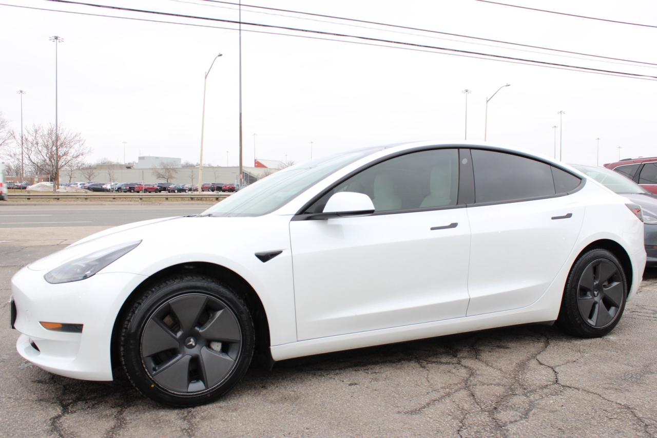 2023 Tesla Model 3 Standard Range Plus White Interior Photo