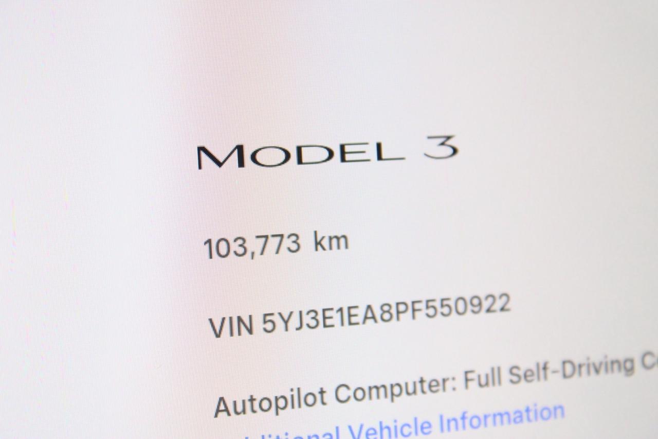 2023 Tesla Model 3 Standard Range Plus White Interior Photo