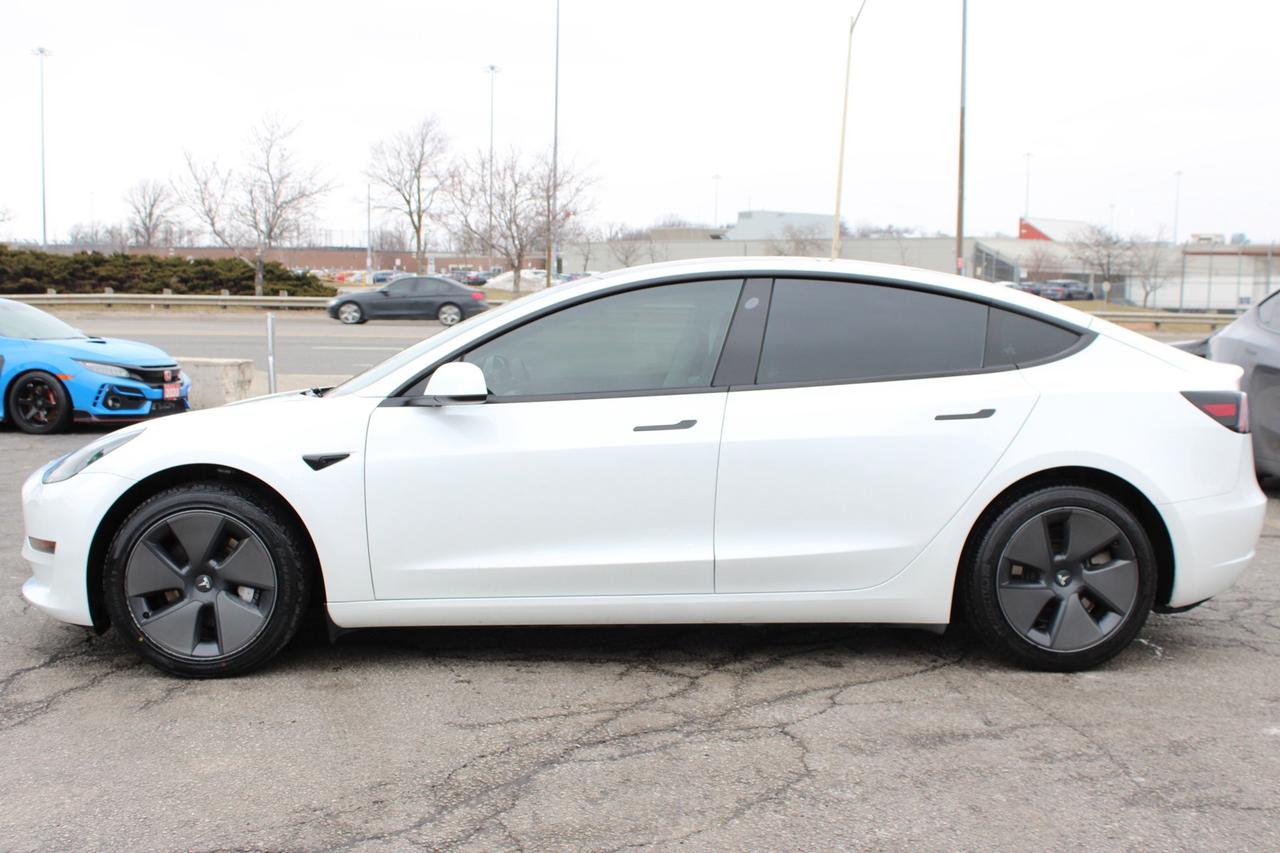 2023 Tesla Model 3 Standard Range Plus White Interior Photo