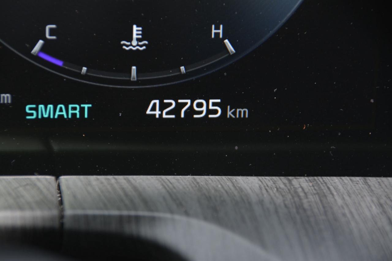 2023 Kia Telluride TELLURIDE Photo