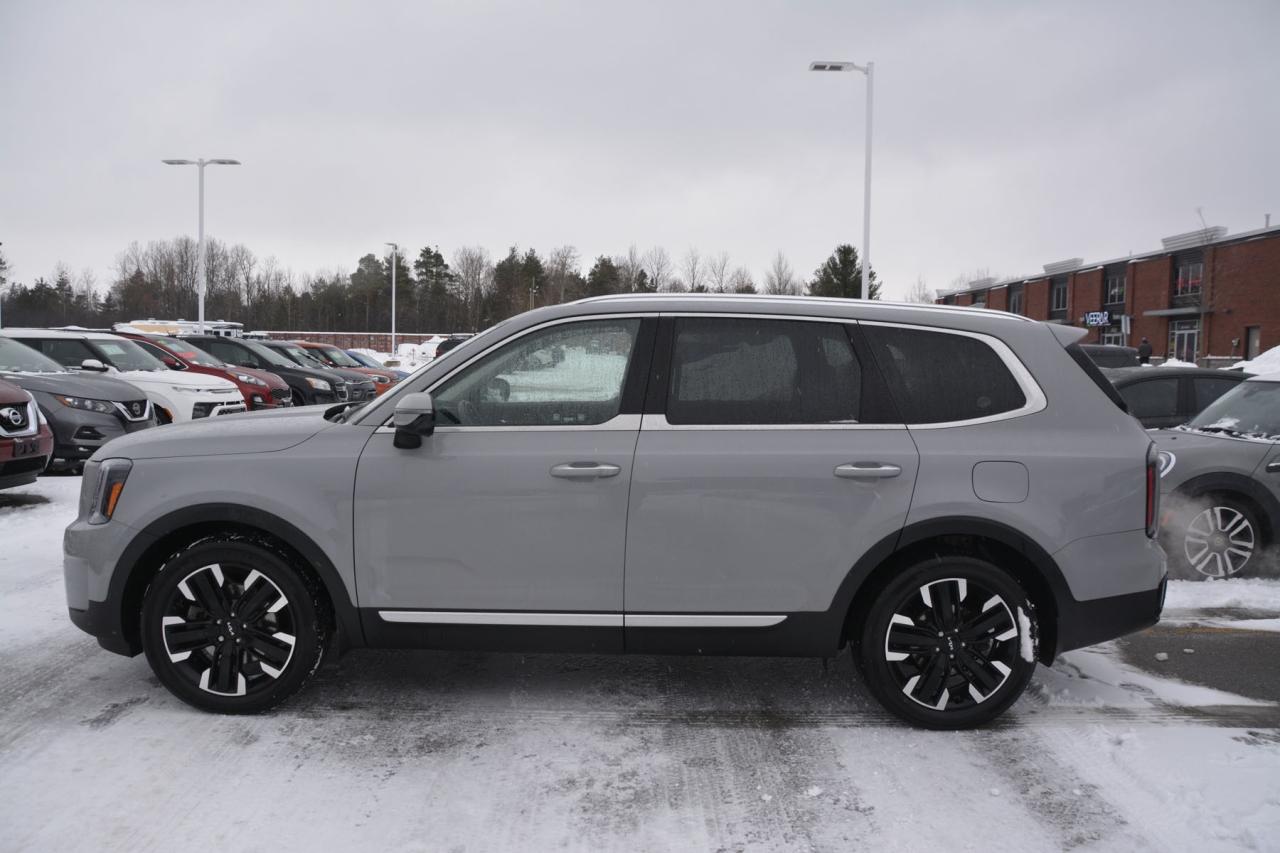 2023 Kia Telluride TELLURIDE Photo