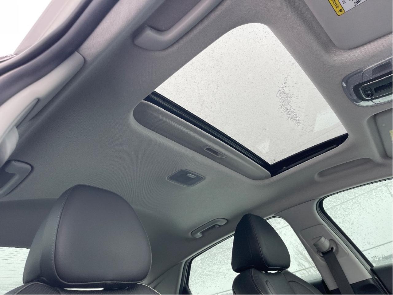 2023 Hyundai Elantra Hybrid Luxury DCT Photo