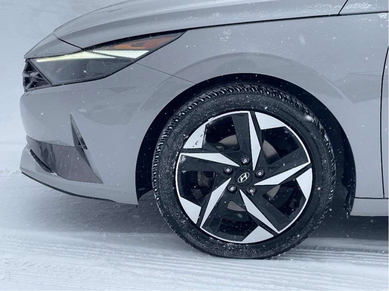 2023 Hyundai Elantra Hybrid Luxury DCT Photo