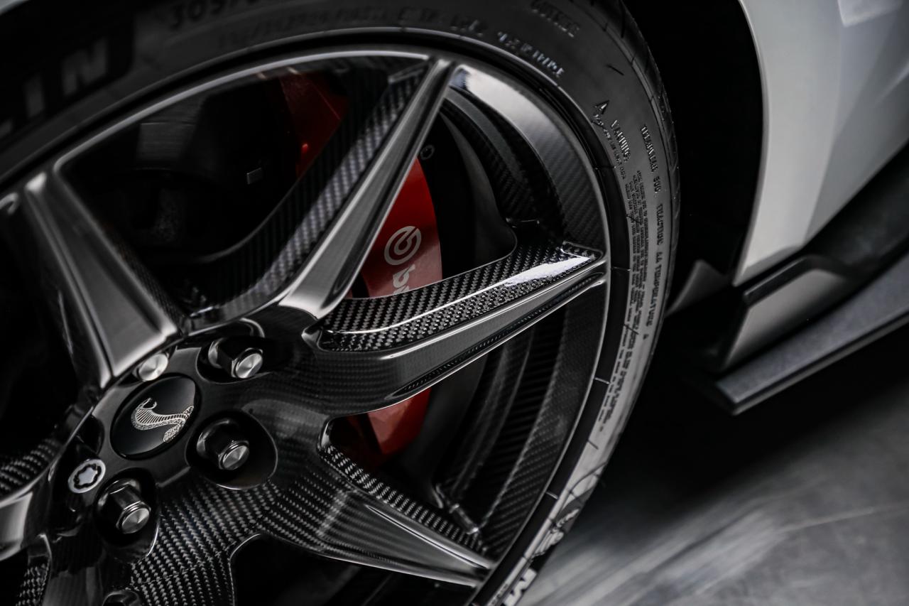 2022 Ford Mustang SHELBY GT500 CARBON TRACK PKG 760HP  PAINTEDSTRIPE Photo