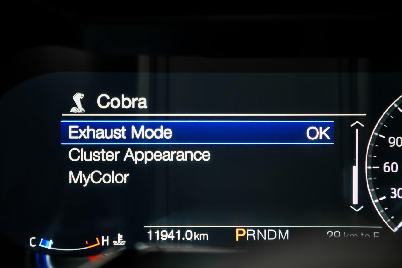 2022 Ford Mustang SHELBY GT500 CARBON TRACK PKG 760HP  PAINTEDSTRIPE Photo