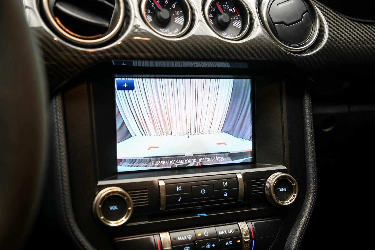 2022 Ford Mustang SHELBY GT500 CARBON TRACK PKG 760HP  PAINTEDSTRIPE Photo