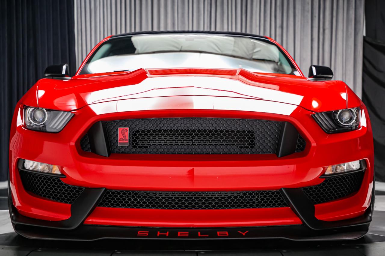 2019 Ford Mustang SHELBY GT350R 5.2L V8  CARBONRIMS RARE NOACCIDENT Photo