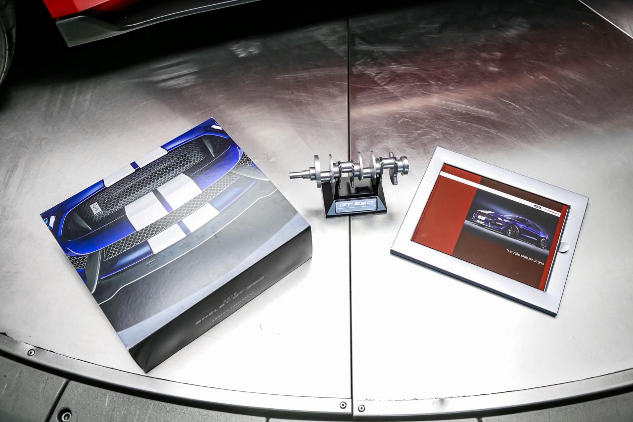 2019 Ford Mustang SHELBY GT350R 5.2L V8  CARBONRIMS RARE NOACCIDENT Photo