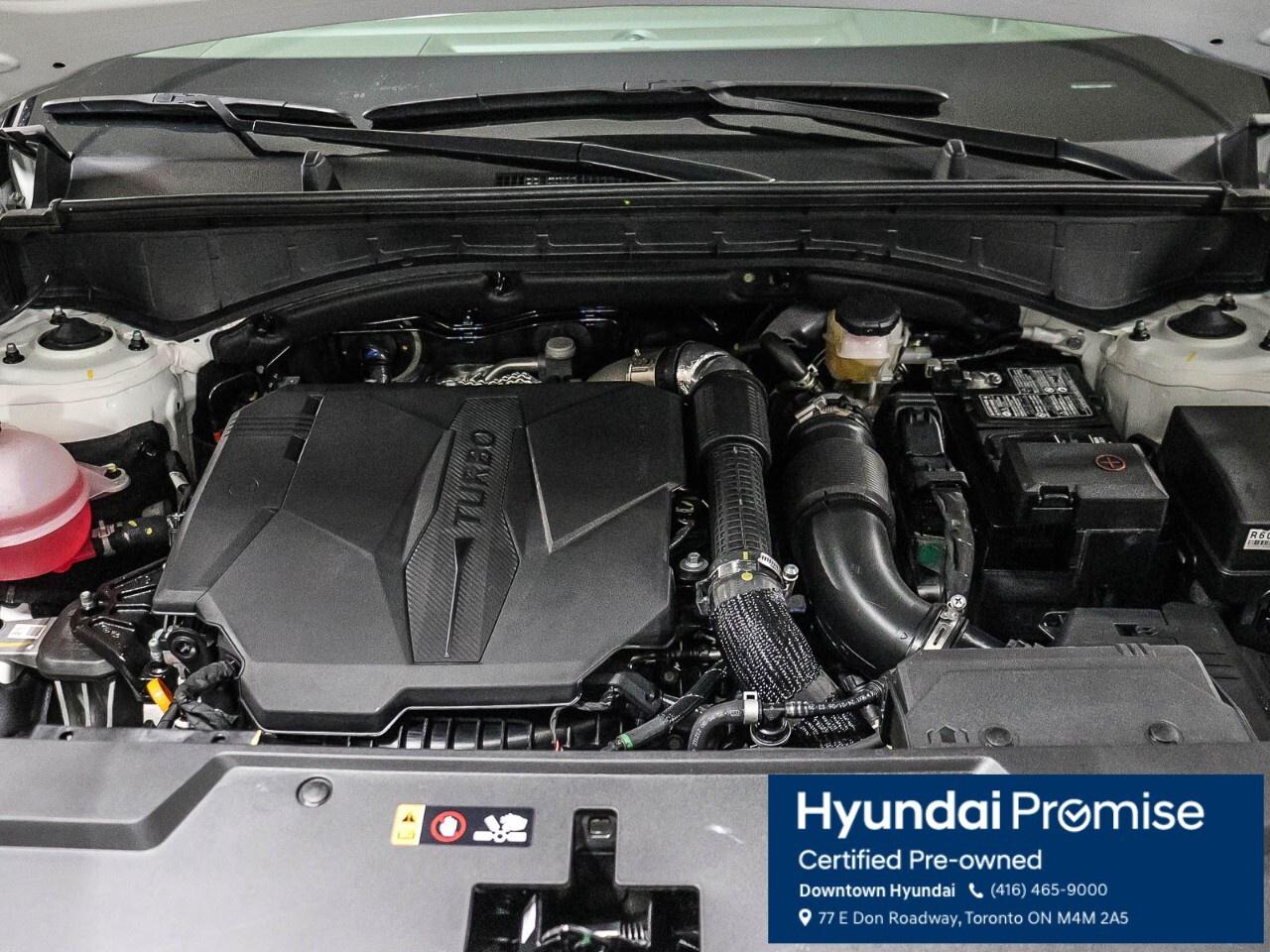 2025 Hyundai Santa Fe Ultimate Calligraphy Photo