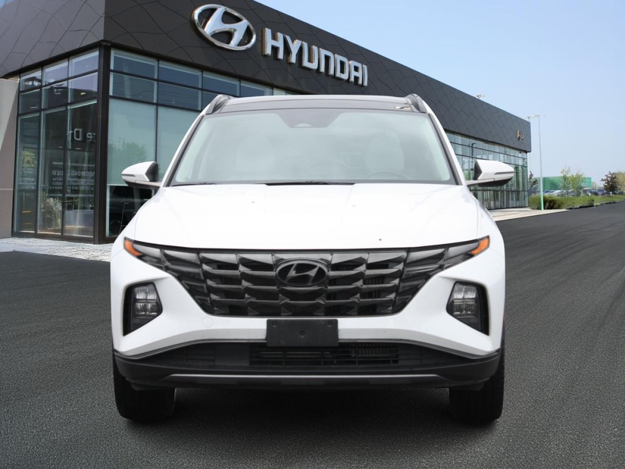 2022 Hyundai Tucson Hybrid Luxury AWD Photo