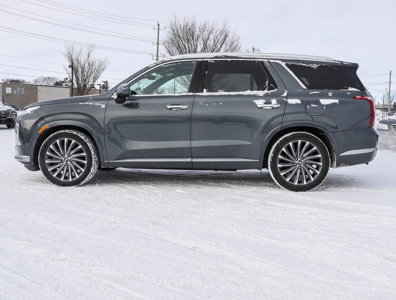 2023 Hyundai PALISADE Ultimate Calligraphy Photo