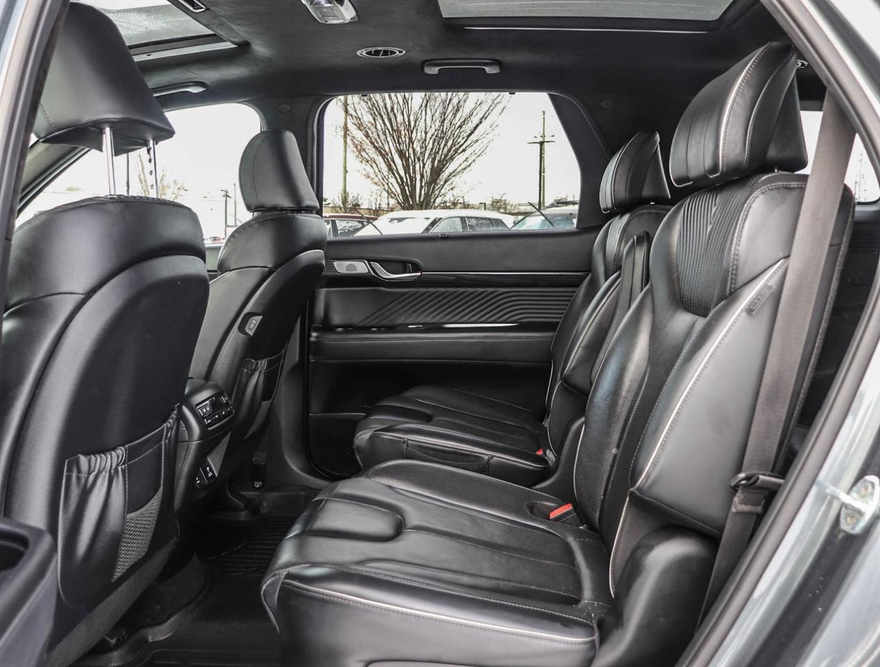 2023 Hyundai PALISADE Ultimate Calligraphy Photo