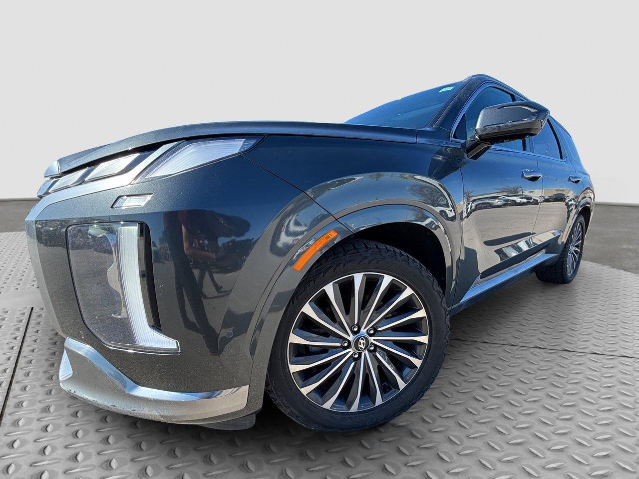 2023 Hyundai PALISADE Ultimate Calligraphy Photo