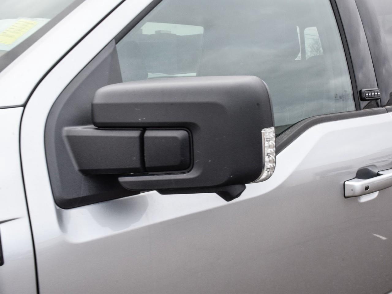 2025 Ford F-150 XLT Photo