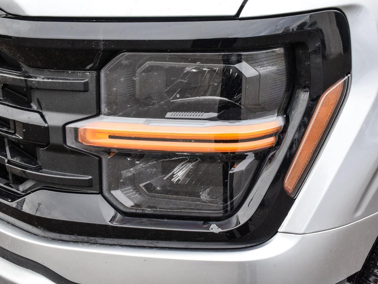 2025 Ford F-150 XLT Photo