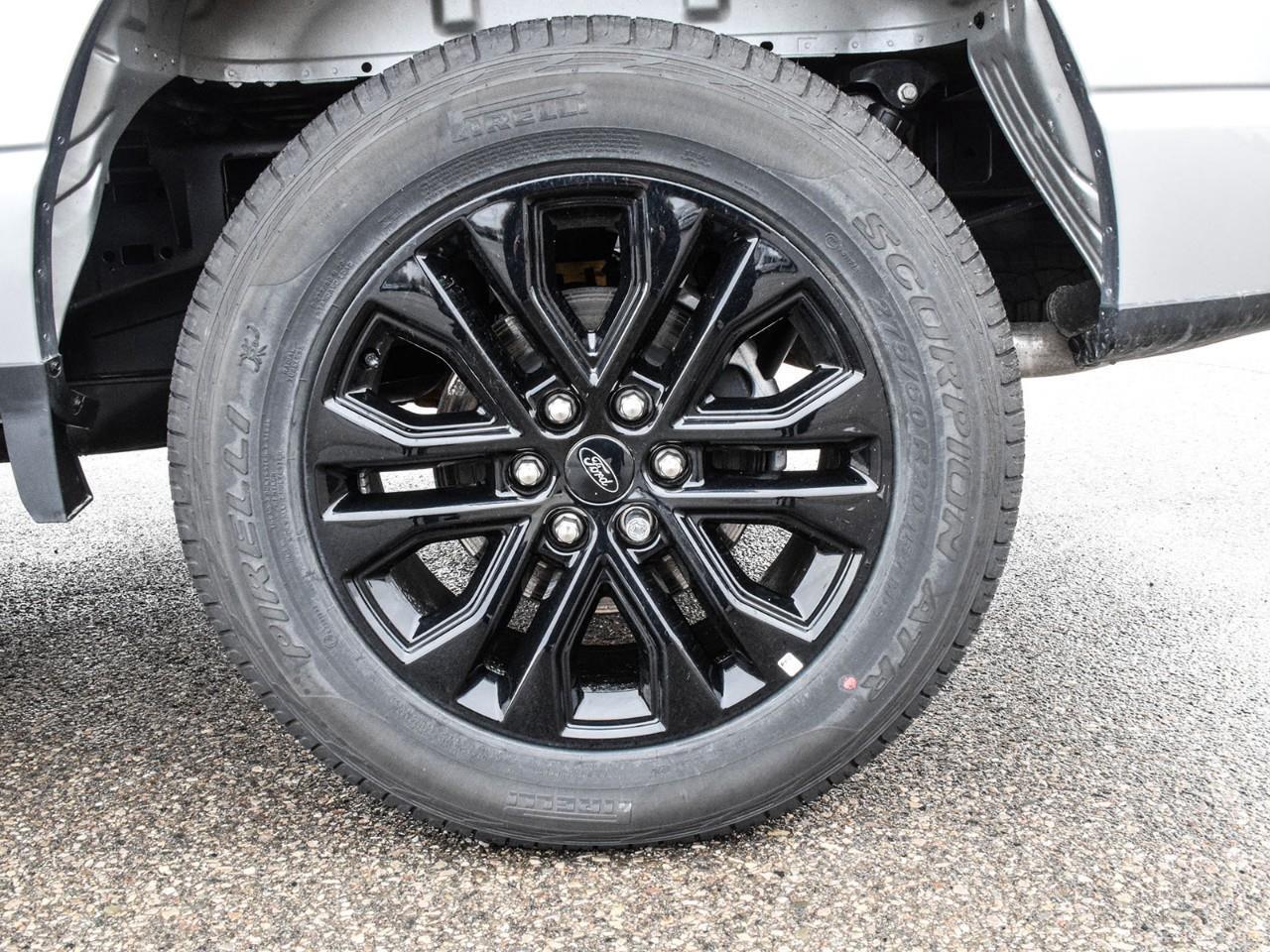 2025 Ford F-150 XLT Photo