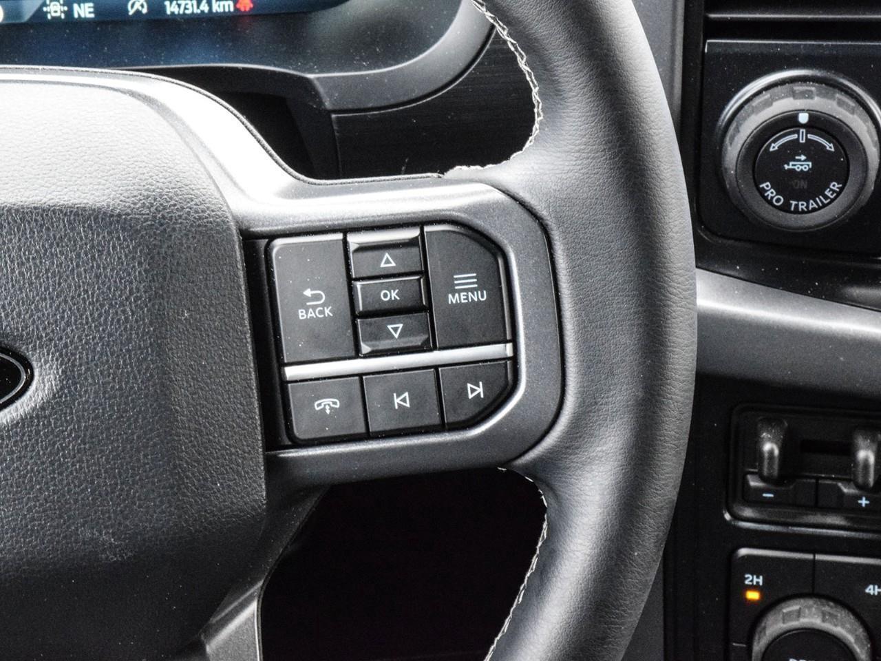 2025 Ford F-150 XLT Photo