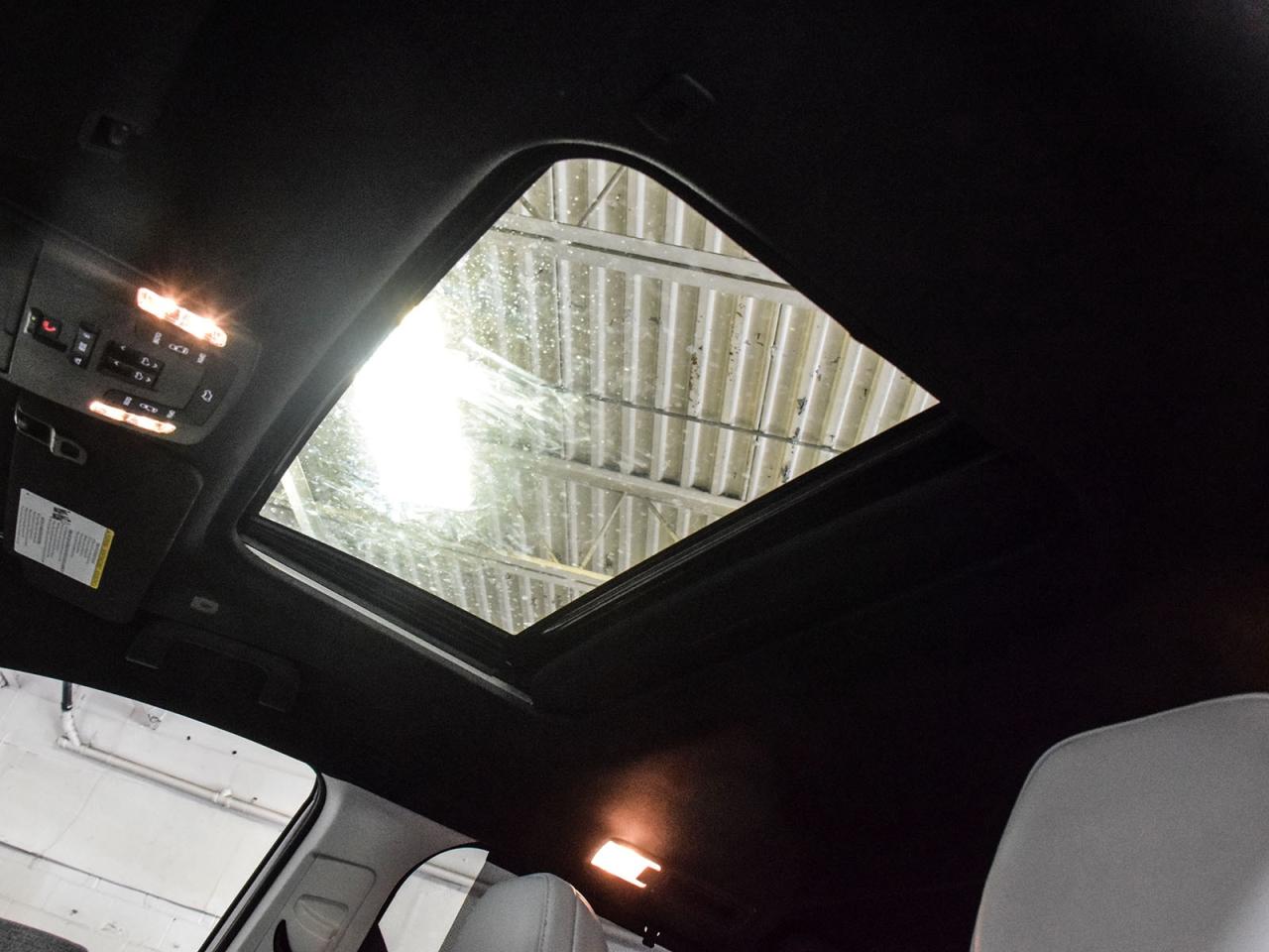 2025 Toyota Sienna XSE Photo