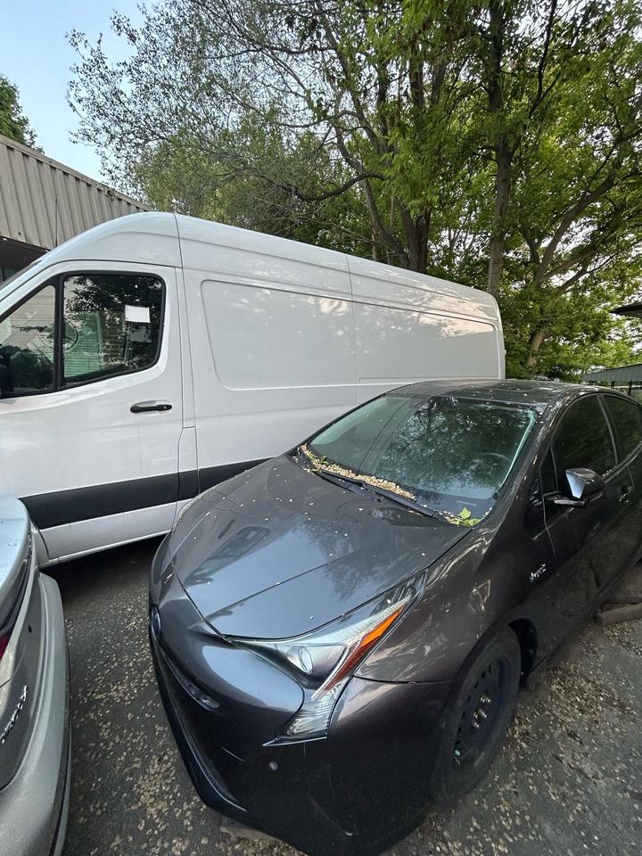 2019 Mercedes-Benz Sprinter 2500 High Roof I4 170 Photo