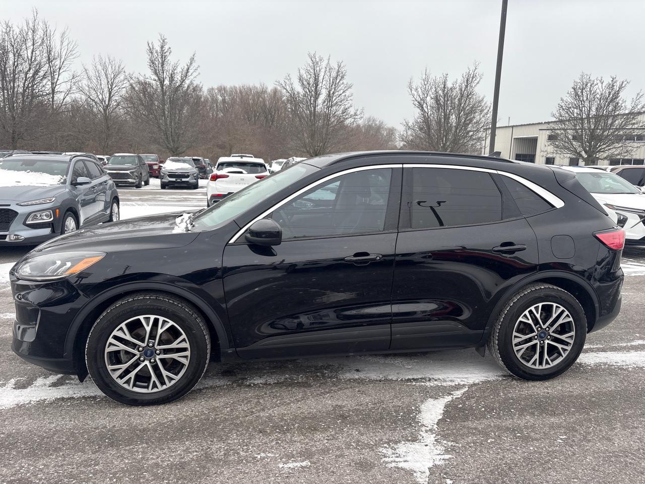 2020 Ford Escape SEL + Heated Cloth + Navi + 1 Owner Photo