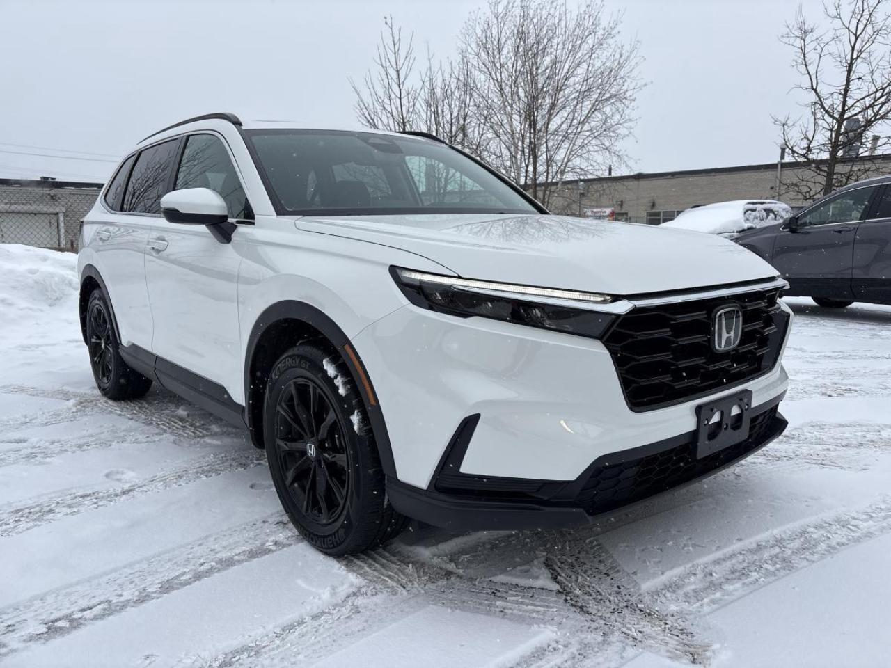 2025 Honda CR-V Sport Honda Certified With 7YRS/160K Warranty Photo