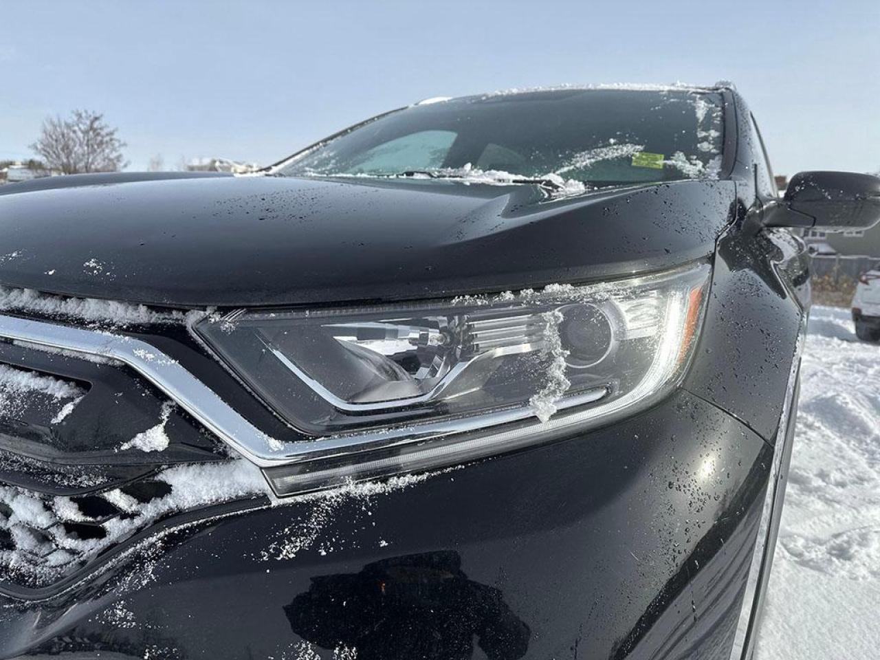 2022 Honda CR-V Sport Photo