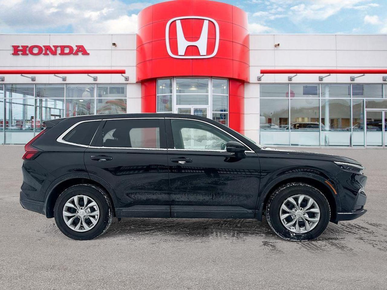 2023 Honda CR-V LX Photo