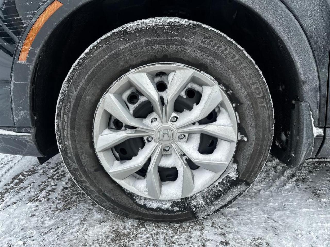 2023 Honda CR-V LX Photo