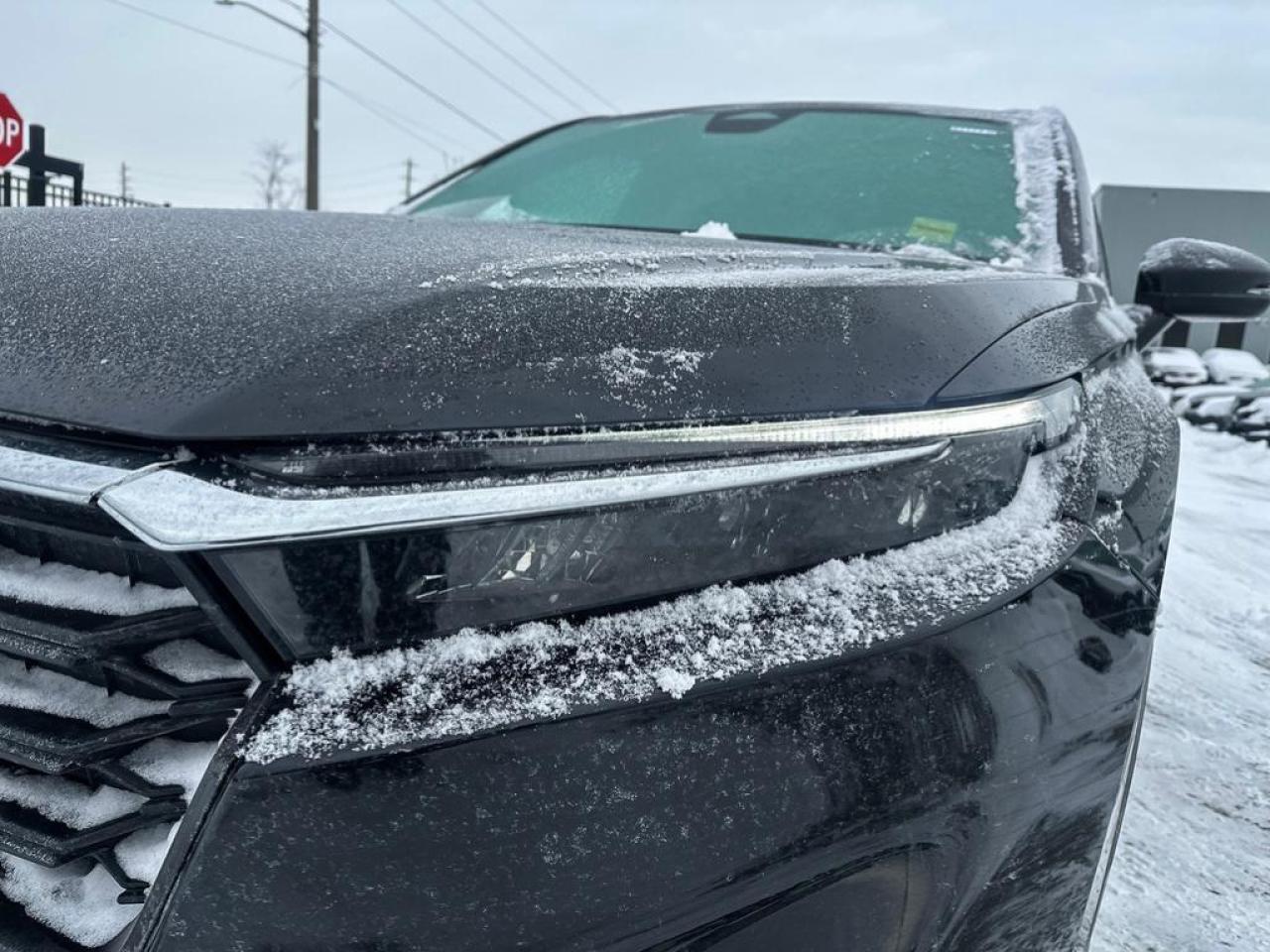 2023 Honda CR-V LX Photo