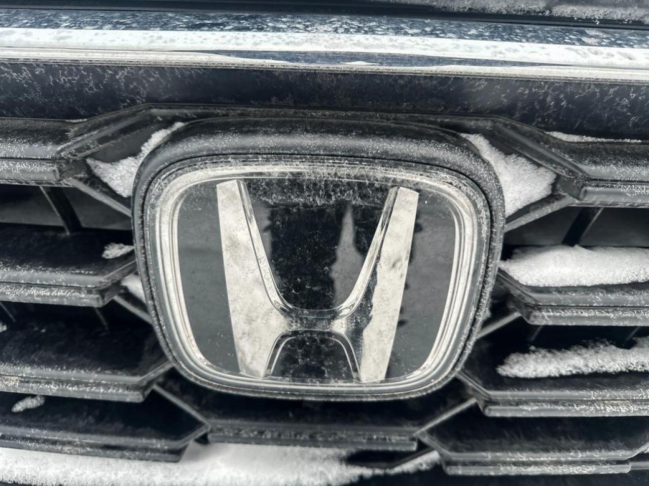 2023 Honda CR-V LX Photo