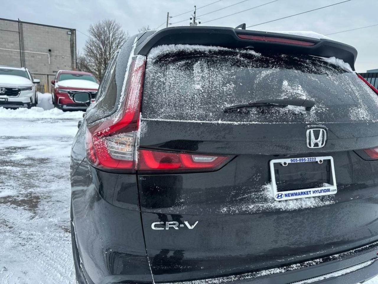 2023 Honda CR-V LX Photo