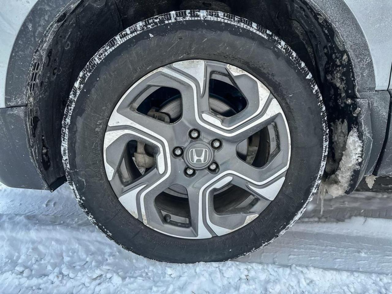 2019 Honda CR-V EX-L Photo