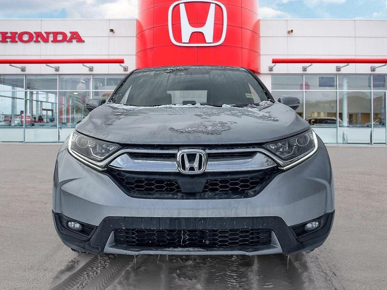 2019 Honda CR-V EX-L Photo