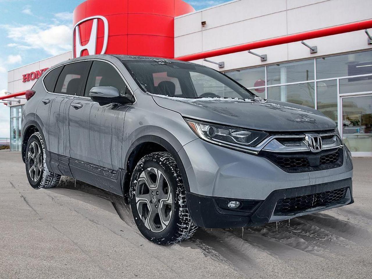 2019 Honda CR-V EX-L Photo