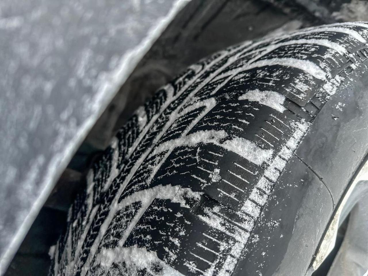 2019 Honda CR-V EX-L Photo