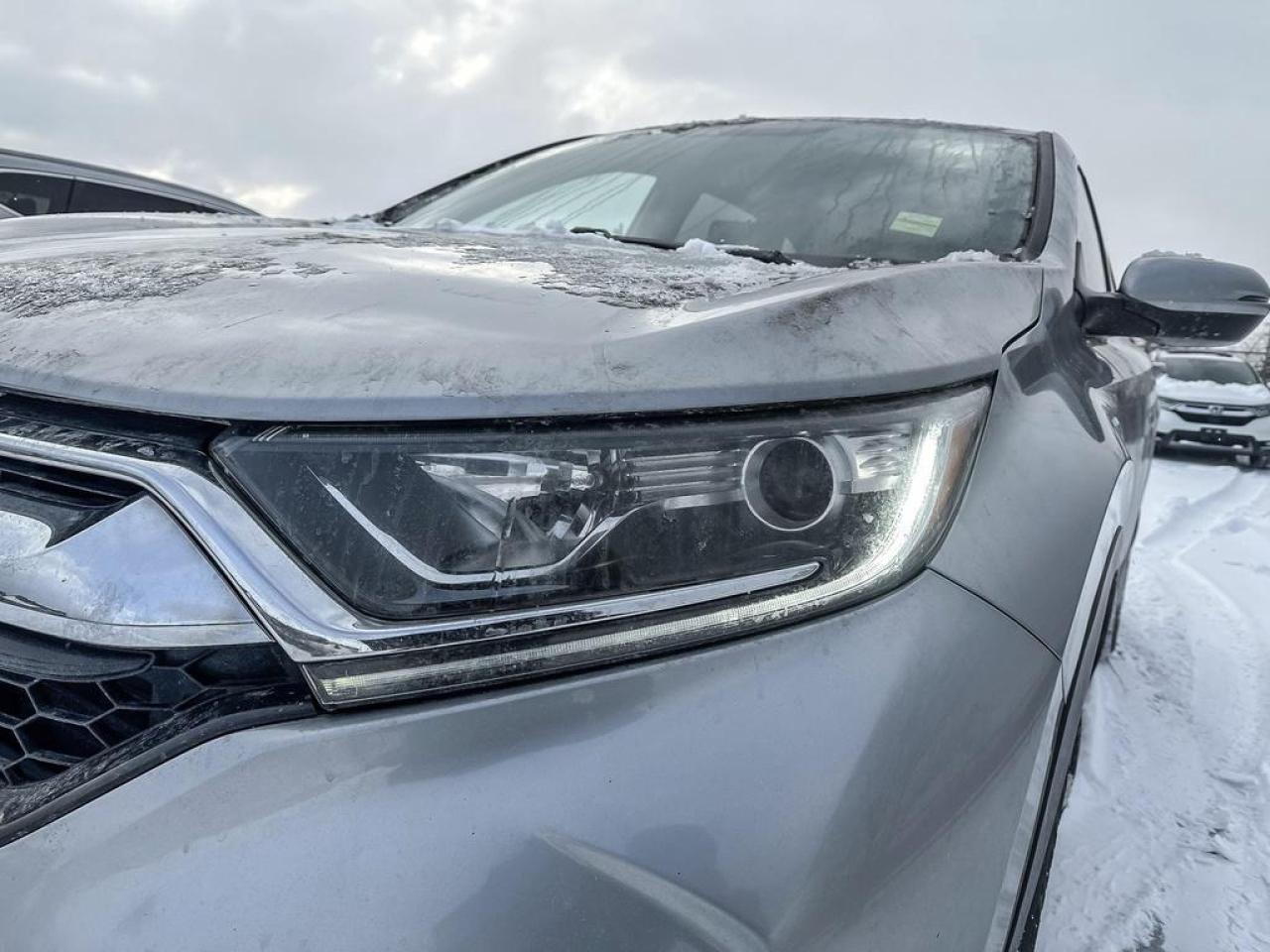 2019 Honda CR-V EX-L Photo