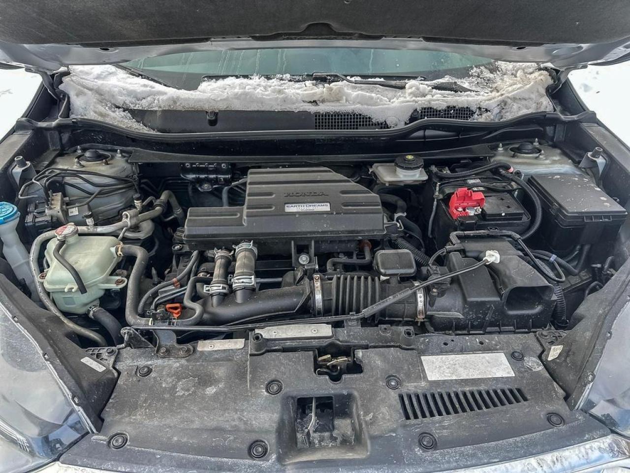 2019 Honda CR-V EX-L Photo