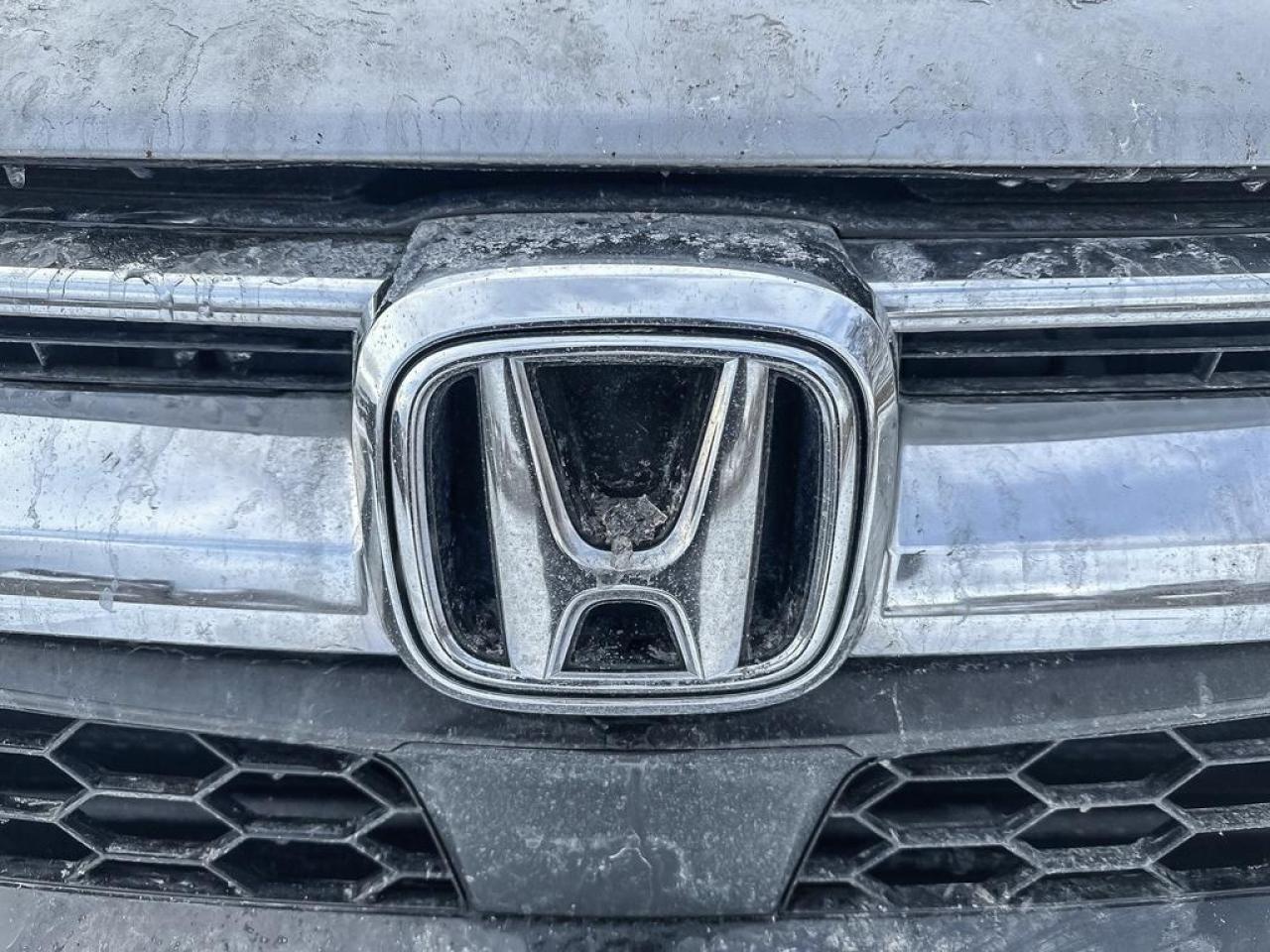 2019 Honda CR-V EX-L Photo