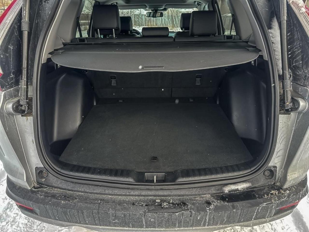 2019 Honda CR-V EX-L Photo