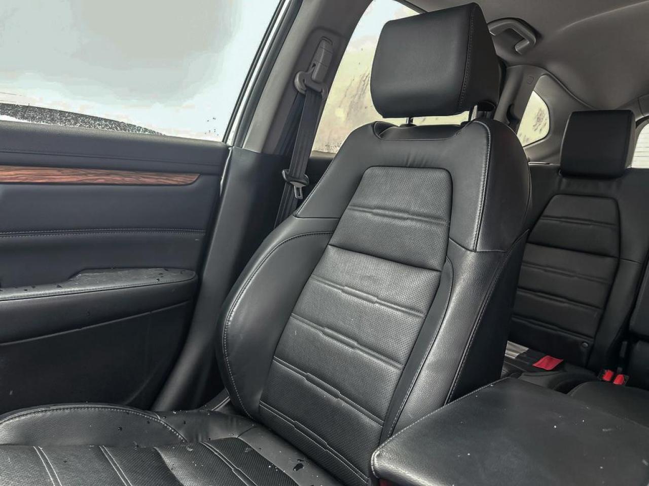 2019 Honda CR-V EX-L Photo