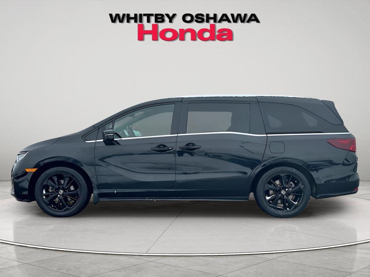 2024 Honda Odyssey Black Edition Photo