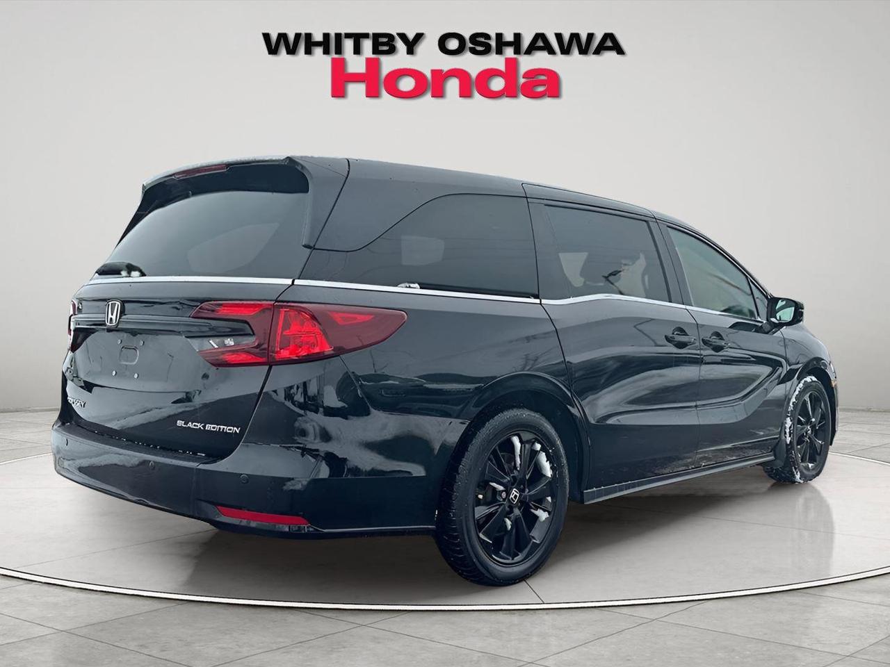 2024 Honda Odyssey Black Edition Photo