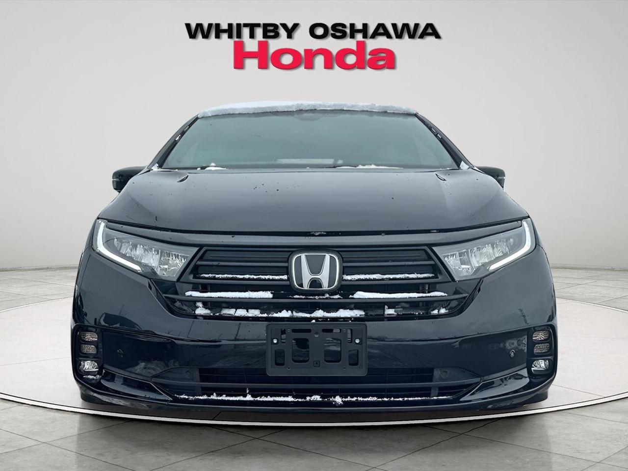 2024 Honda Odyssey Black Edition Photo