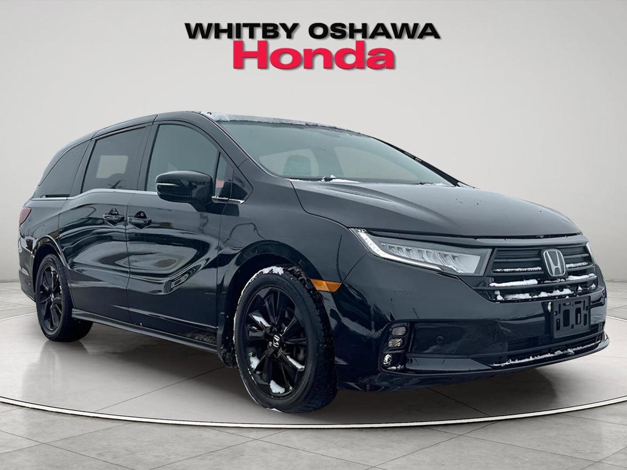 2024 Honda Odyssey Black Edition Photo
